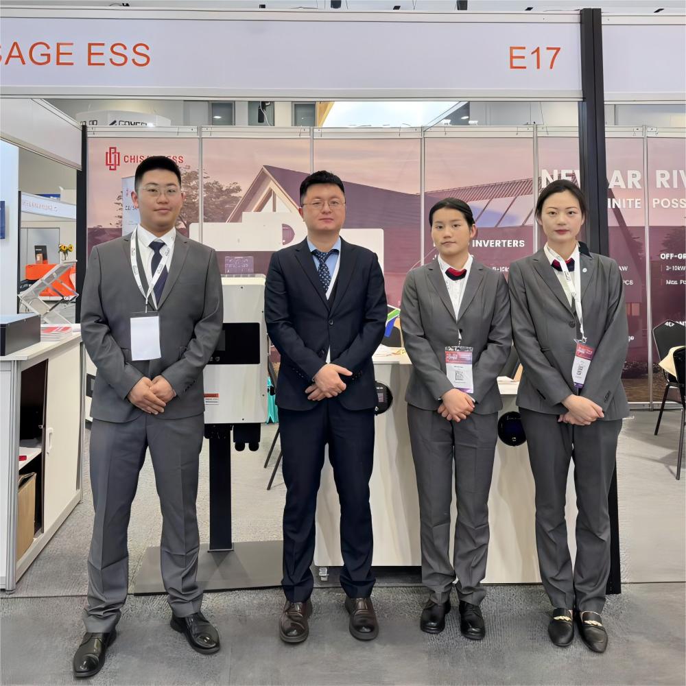 Fokus Südafrika | Entdecken Sie CHISAGE ESS auf der Solar Power Africa